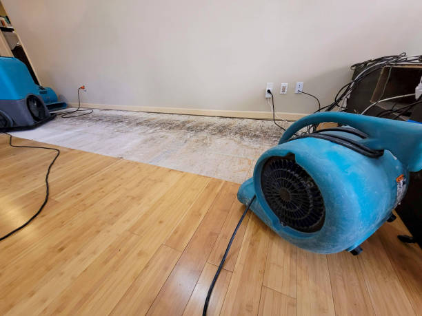 Professional Structural Drying technician working in Kim, CO